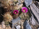 photo thumbnail #15