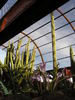 photo thumbnail #13
