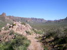 photo thumbnail #1
