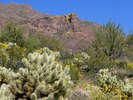 photo thumbnail #3