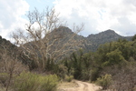 photo thumbnail #6