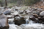photo thumbnail #13