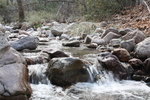 photo thumbnail #14