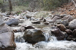 photo thumbnail #15