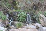recent photo