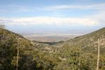 photo thumbnail #7