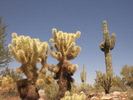 photo thumbnail #6