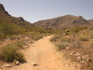 photo thumbnail #7