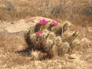 photo thumbnail #13