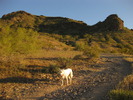 photo thumbnail #1