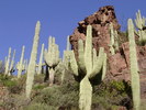 photo thumbnail #3