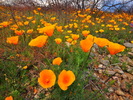 photo thumbnail #1