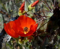 photo thumbnail #9