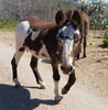 photo thumbnail #14