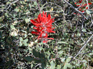 photo thumbnail #8