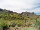 photo thumbnail #4