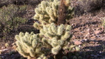 photo thumbnail #13