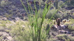 photo thumbnail #14