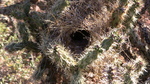 photo thumbnail #15