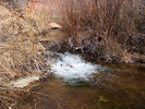 photo thumbnail #6