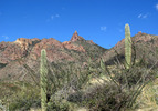 photo thumbnail #8
