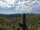 photo thumbnail #11
