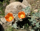 photo thumbnail #12