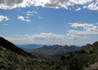 photo thumbnail #13