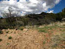 photo thumbnail #15