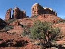 photo thumbnail #6