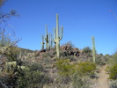 photo thumbnail #1