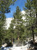 photo thumbnail #10