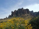 photo thumbnail #1