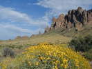 photo thumbnail #12