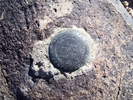 recent photo