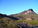 recent photo
