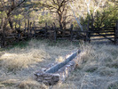 photo thumbnail #11