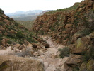 photo thumbnail #9