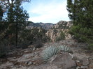 photo thumbnail #1