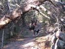 photo thumbnail #2
