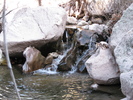 photo thumbnail #6