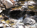 photo thumbnail #10