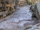 photo thumbnail #13