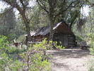 photo thumbnail #14