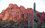 photo thumbnail #1
