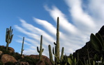 photo thumbnail #3