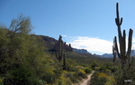 photo thumbnail #11