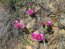 photo thumbnail #8