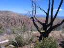 photo thumbnail #11