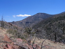 photo thumbnail #12